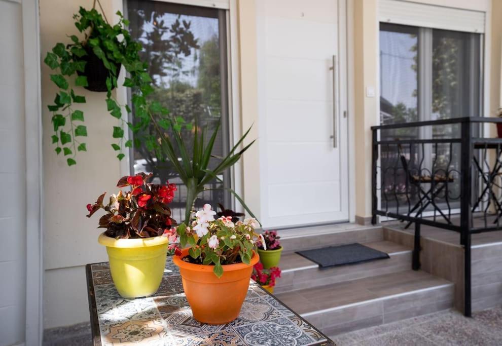 Elenis Cozy Apartment Yenişehir Dış mekan fotoğraf